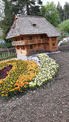 IMG-20230524-WA0003.jpg