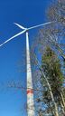 IMG-20240128-WA0006.jpg