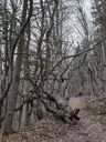 IMG-20240221-WA0008.jpg