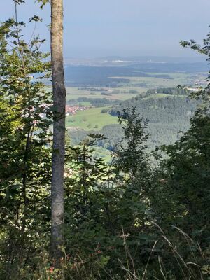 IMG-20240924-WA0003.jpg