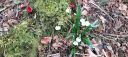 IMG-20250317-WA0021.jpg