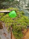 IMG-20250328-WA0016.jpg