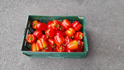 image048.jpg
