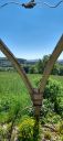 IMG-20250511-WA0027.jpg
