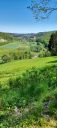 IMG-20250511-WA0031.jpg