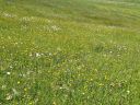 IMG-20250523-WA0006.jpg