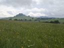 IMG-20250523-WA0010.jpg