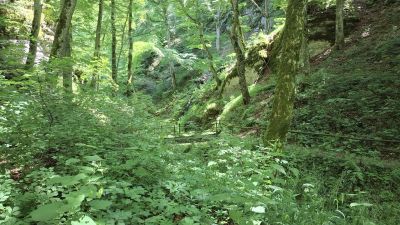 image006.jpg