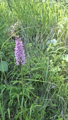 image010.jpg