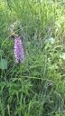 image010.jpg