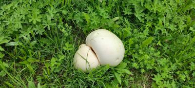 IMG-20250803-WA0000.jpg