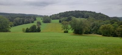 IMG-20250803-WA0025.jpg