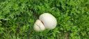 IMG-20250803-WA0000.jpg
