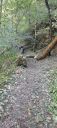 IMG-20250818-WA0004.jpg