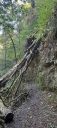 IMG-20250818-WA0005.jpg