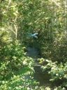 IMG-20250903-WA0017.jpg