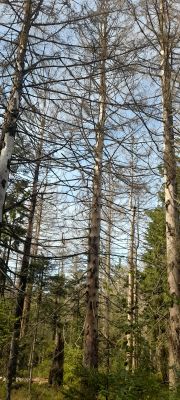 IMG-20250908-WA0007.jpg