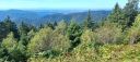 IMG-20250908-WA0001.jpg