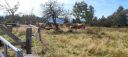 IMG-20250908-WA0003.jpg