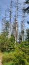 IMG-20250908-WA0005.jpg