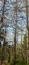 IMG-20250908-WA0007.jpg