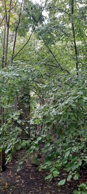 IMG-20250914-WA0028.jpg