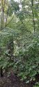 IMG-20250914-WA0028.jpg