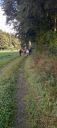 IMG-20250914-WA0036.jpg