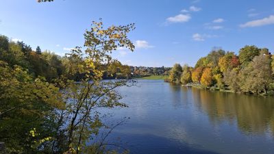 image009.jpg