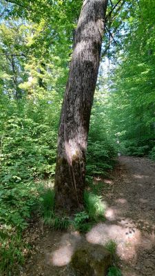 image005.jpg