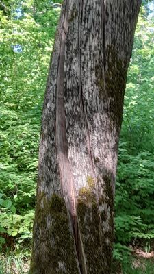 image006.jpg