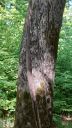 image006.jpg