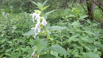 IMG-20260602-WA0013.jpg