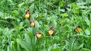 IMG-20260602-WA0008.jpg