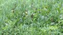 IMG-20260602-WA0011.jpg