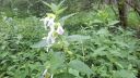 IMG-20260602-WA0013.jpg