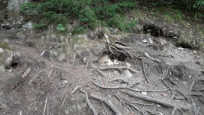 Gesteinsspalten und Höhlen am Wegesrand
