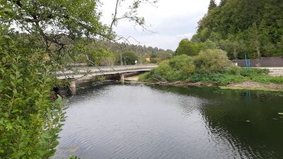 Oberhalb der Versickerungsstelle ist die Donau noch da.
