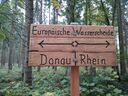 IMG_20201018_105130.jpg