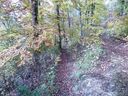 IMG_20201018_134336.jpg