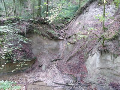 Schlüsselwörter: Jägerhaus, Schmalegger WaSchmalegg, Burgmühle, Adelmühle, 