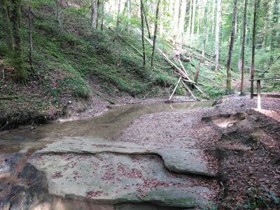 Schlüsselwörter: Jägerhaus, Schmalegger Wasserfall, Schmalegg, Burgmühle, Adelmühle,