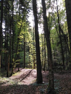 Schlüsselwörter: Jägerhaus, Schmalegger Wasserfall, Schmalegg, Burgmühle, Adelmühle,