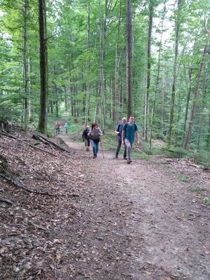 Schlüsselwörter: Jägerhaus, Schmalegger Wasserfall, Adelmühle, Burgmühle, Schmalegg