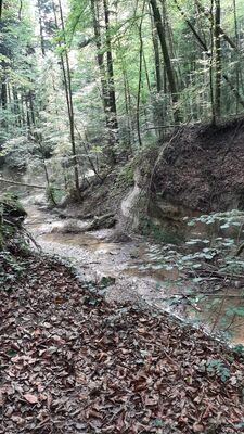 Schlüsselwörter: Jägerhaus, Schmalegger Wasserfall, Adelmühle, Burgmühle, Schmalegg