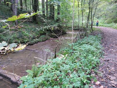 Schlüsselwörter: Jägerhaus, Schmalegger Wasserfall, Adelmühle, Burgmühle, Schmalegg