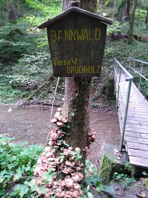 Schlüsselwörter: Jägerhaus, Schmalegger Wasserfall, Adelmühle, Burgmühle, Schmalegg