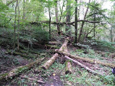 Schlüsselwörter: Jägerhaus, Schmalegger Wasserfall, Adelmühle, Burgmühle, Schmalegg