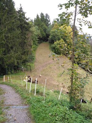 Schlüsselwörter: Jägerhaus, Schmalegger Wasserfall, Adelmühle, Burgmühle, Schmalegg