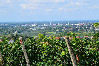 DSC_0223_-_Kopie.JPG